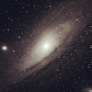 黑人videos巨大hd粗暴的影响
