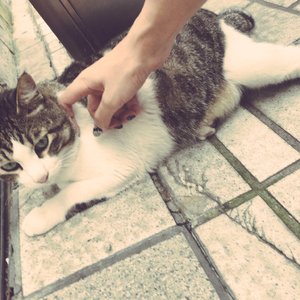 黑人videos巨大hd粗暴的影响
