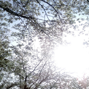 黑人videos巨大hd粗暴的影响
